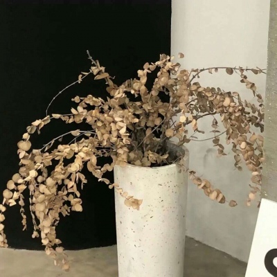 定南FurryQQ群介绍